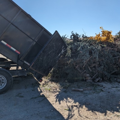 JUNK REMOVAL